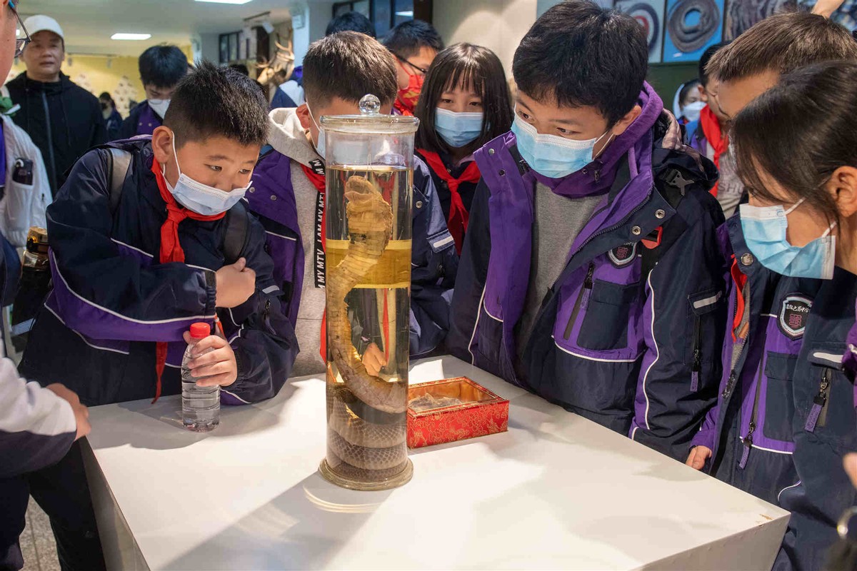 制作中医药材标本的过程,制作中医草药标本