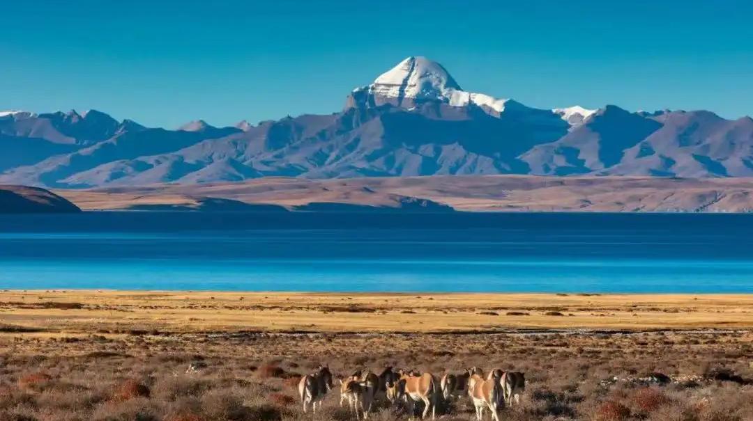 南水北调能增加多少种植面积,藏水北调的条件