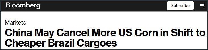 美国人想不明白,为何中国宁愿购买巴西玉米,也要抛弃美国玉米?