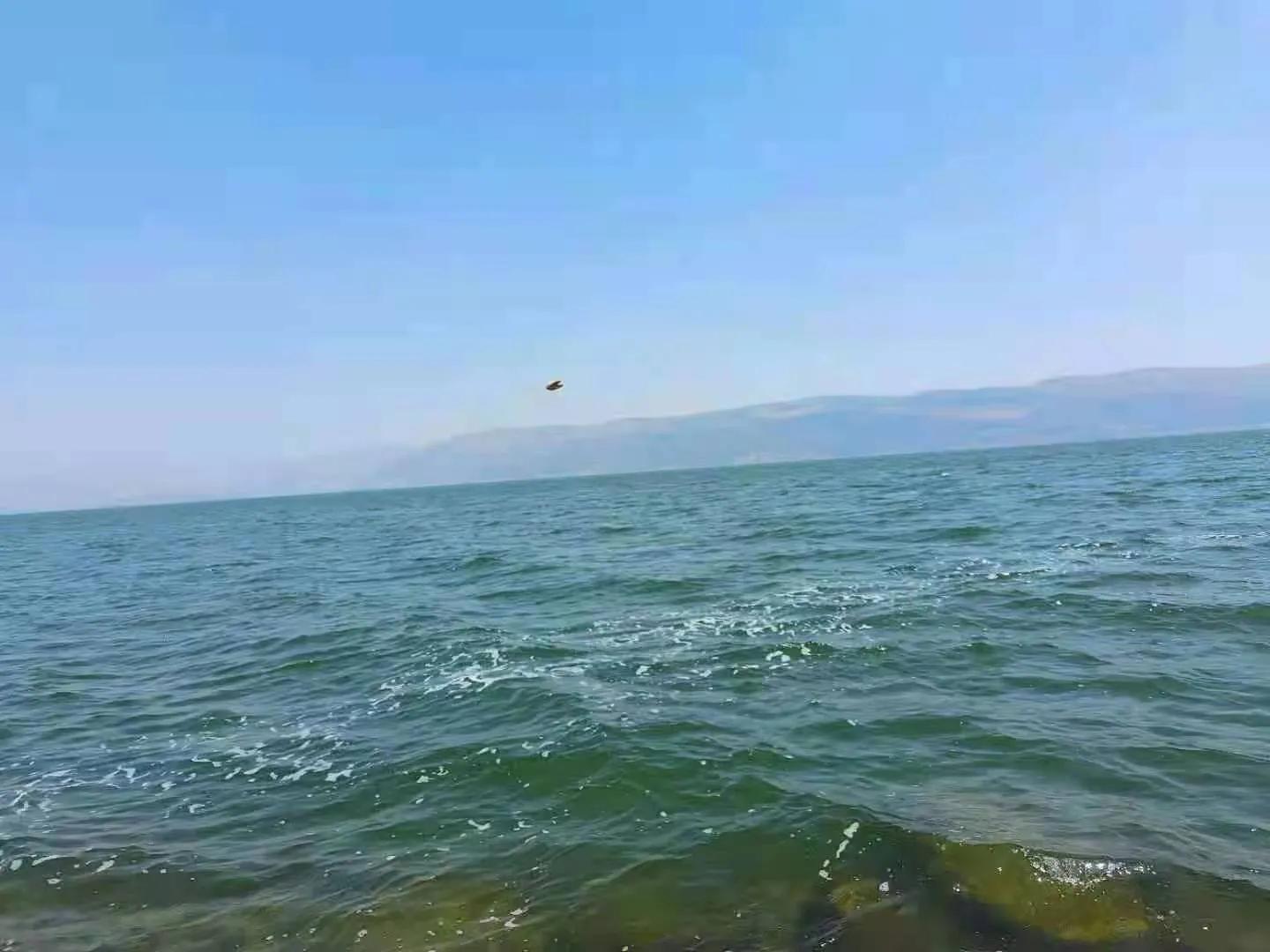 云南旅游值得推荐的景点排名,云南旅游必去的五个景点排名