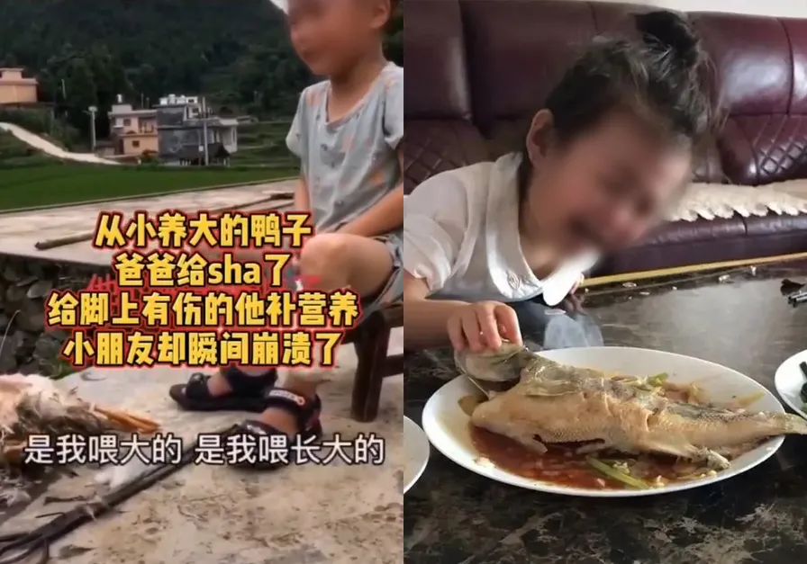 把孩子宠物煮熟来吃,还拍短视频博眼球?这种流量密码不要也罢