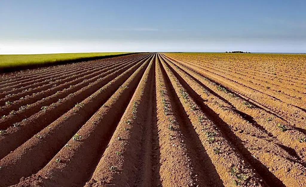 当兵去陆军集团军咋样,陆军总院当兵体检