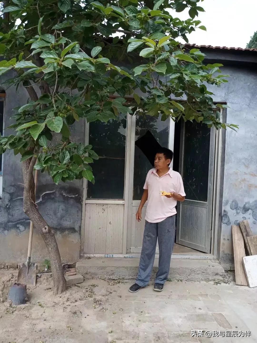 梦见自己三十几岁的外甥大哭,梦见死去的外甥哭得好伤心