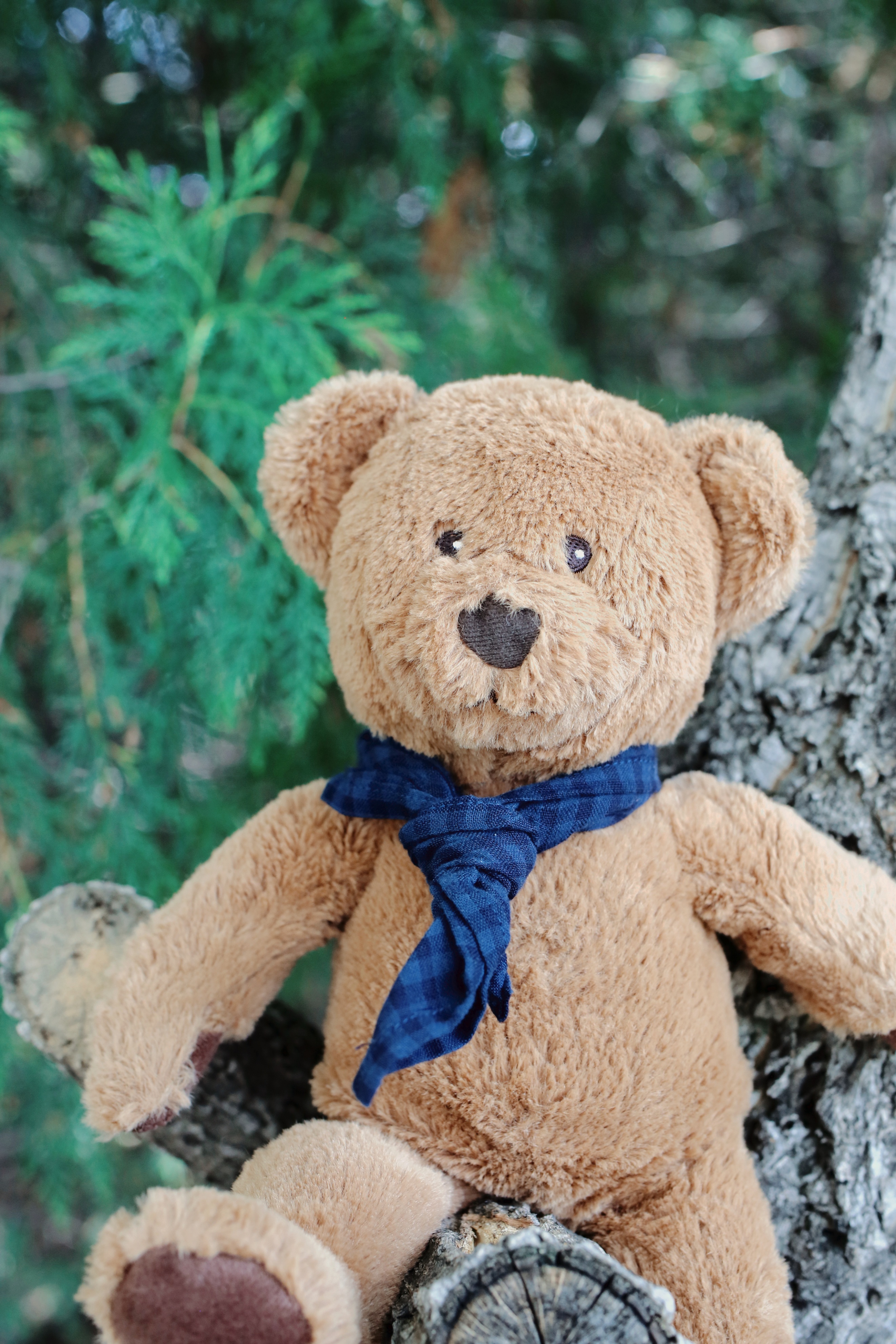 冬天天津周边徒步路线推荐,天津徒步旅游线路