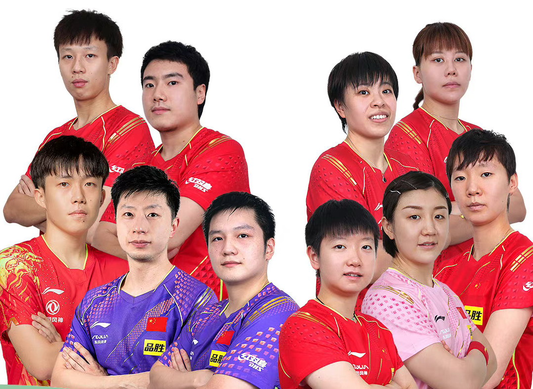 cctv5直播孙颖莎王曼昱樊振东,cctv5乒乓球直播孙颖莎比赛