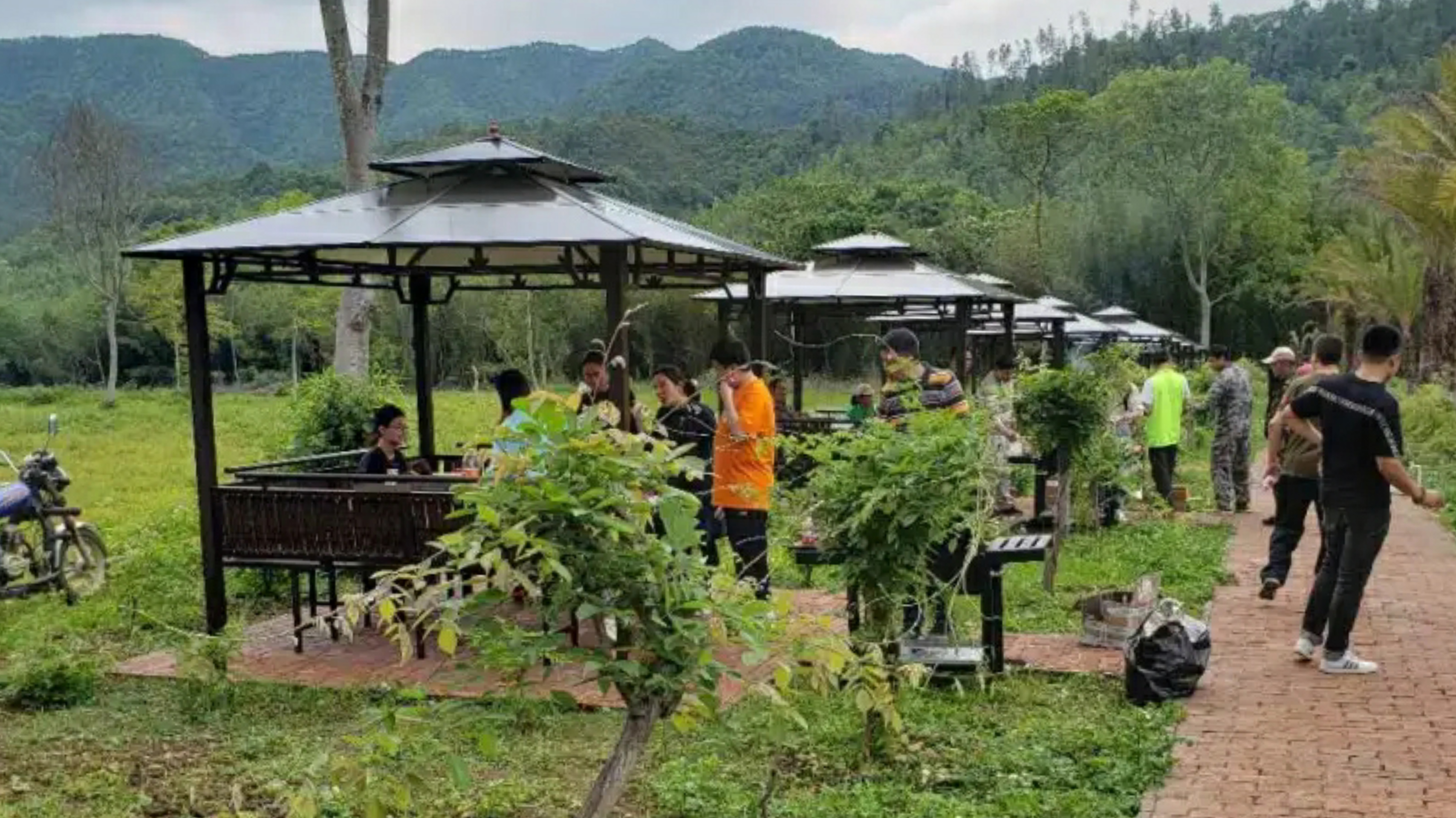 惠州赏梅花地方,惠州惠东梁化镇梅园