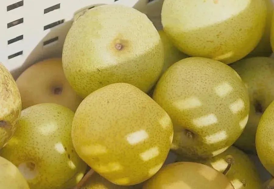 安徽值得一家人旅游的地方,安徽有哪些吸引人的地方