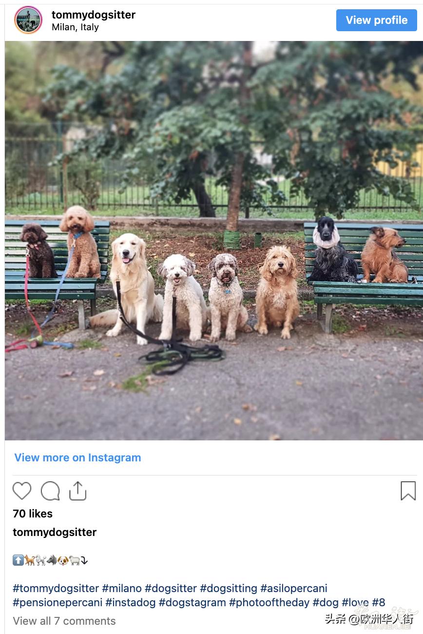 意大利保姆工作怎么样,在意大利当保姆