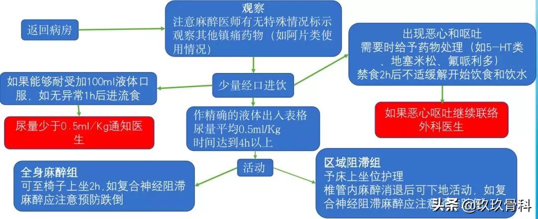 骨科围手术期禁食禁饮管理指南ppt,骨科围手术期禁饮禁食指南