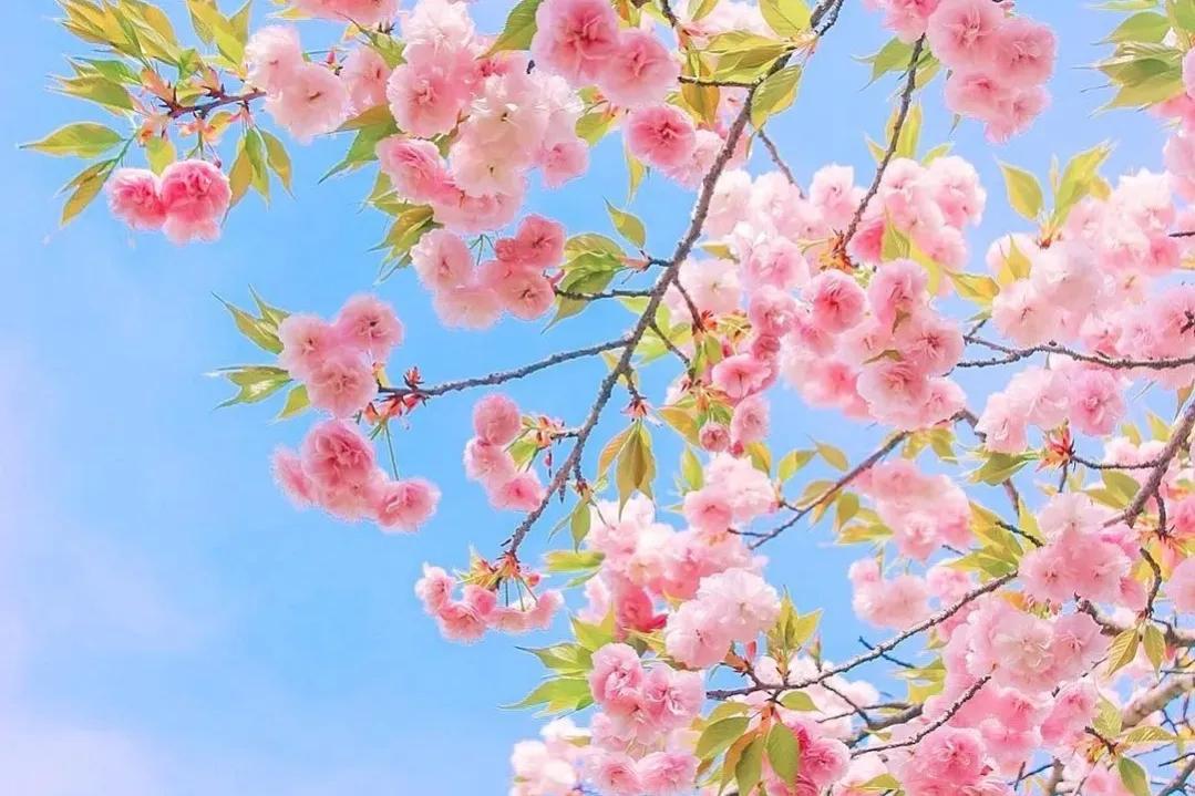 万万没想到加油后续,万万没想到加油片段