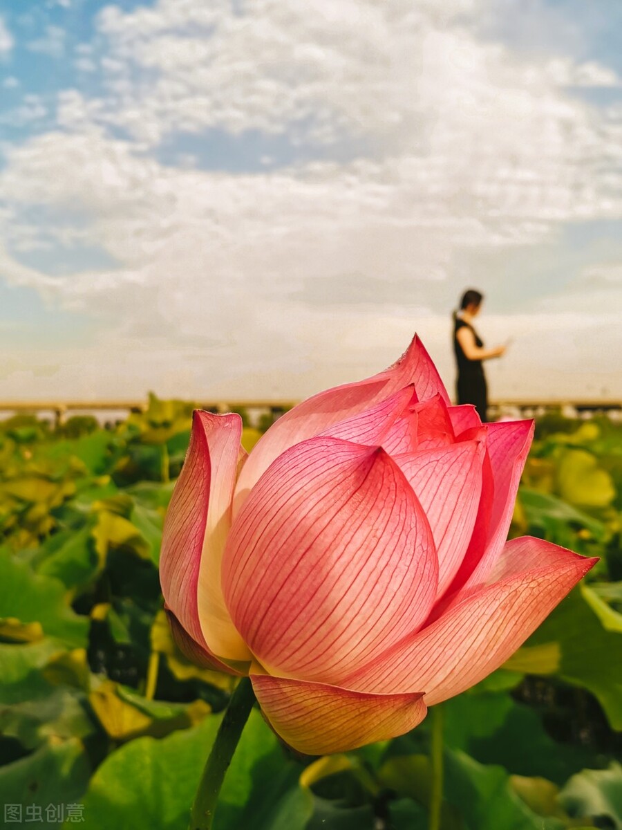 已验证,大臭脚的7种解决方案,需要的朋友赶快收藏