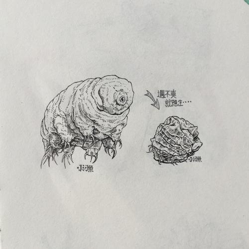 令人惊叹的微生物,震撼自然界的生物