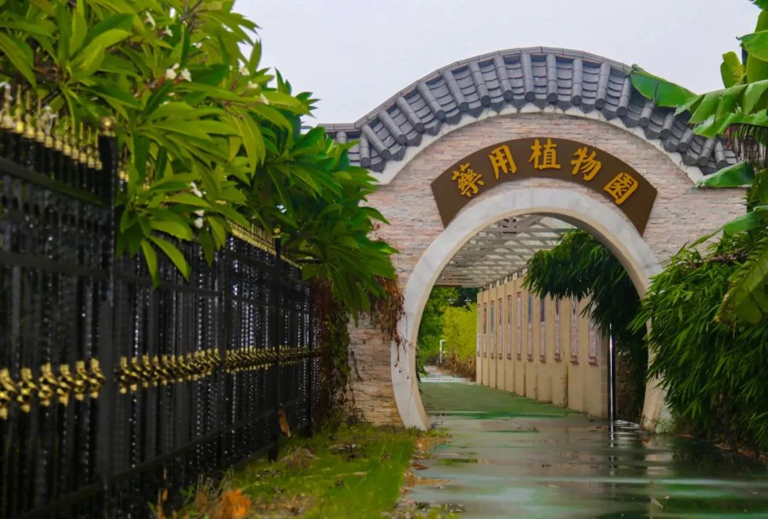 广东双一流专科院校排名,广东大专院校排名及分数线