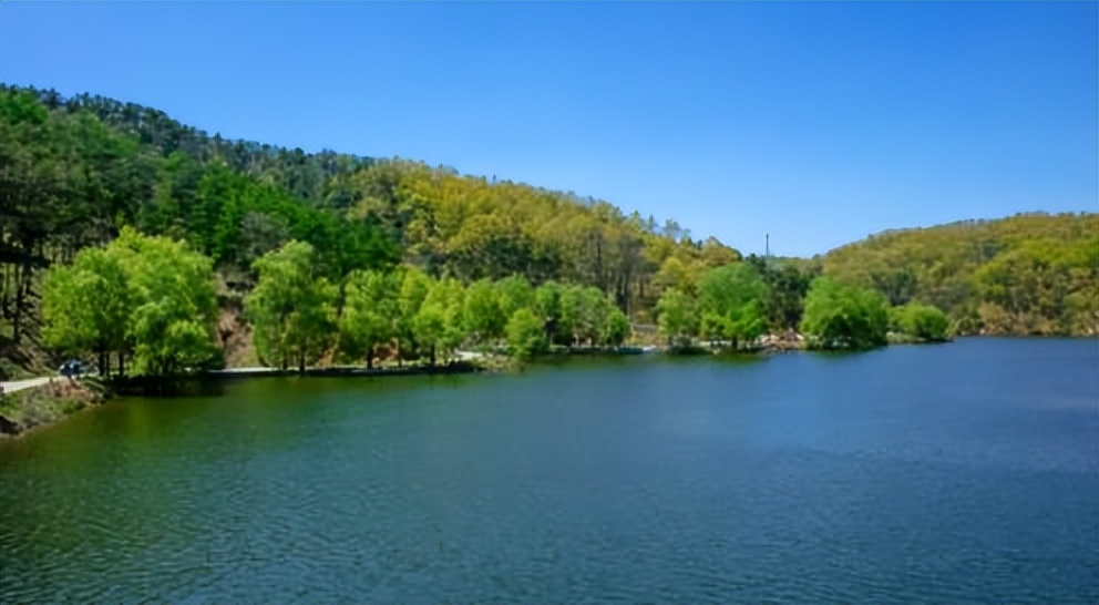 济南夏日森林游玩攻略,藏在济南的夏日度假圣地