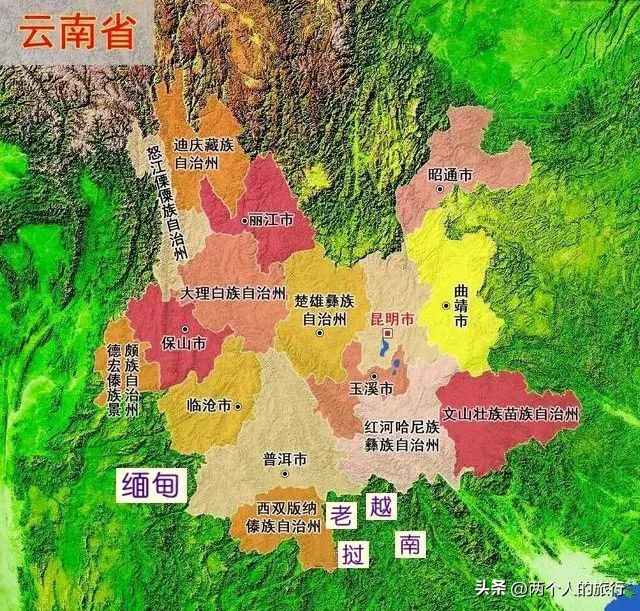 从普洱茶到古树茶的感悟,好喝普洱咖啡