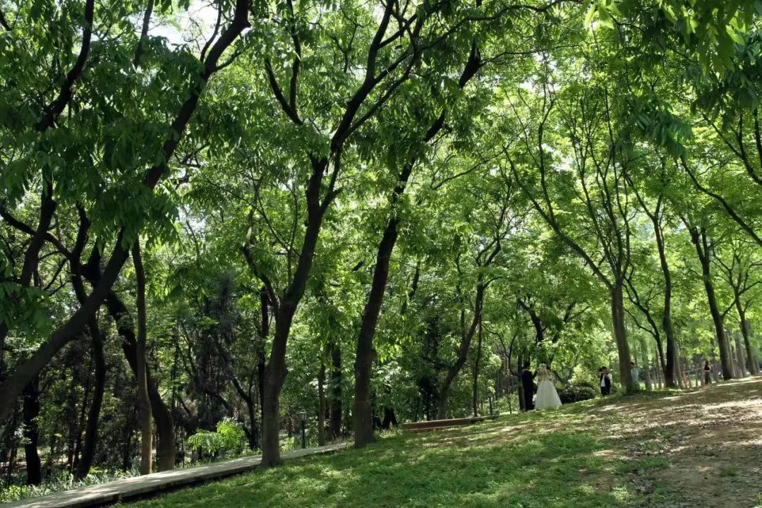 成都周边两天徒步推荐,成都周边徒步耍水一日游