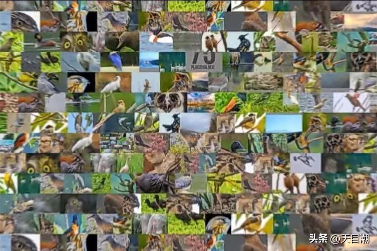 必懂的网络词汇,网络用语一本正经的胡说八道