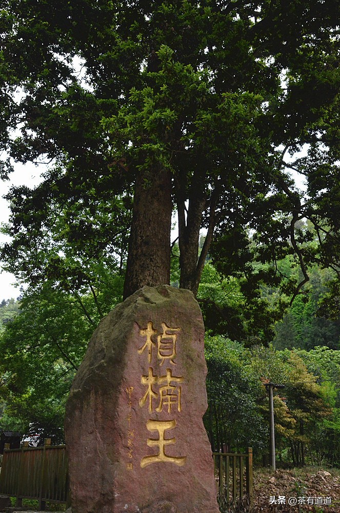 荥经茶马古道徒步线路,雅安荥经茶马古道穿越