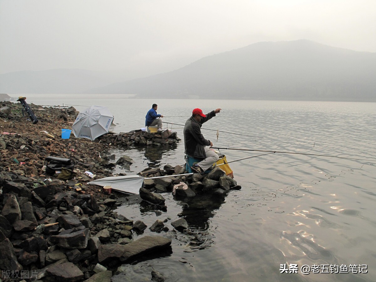 解读九条钓鱼谚语，不能盲从但是可以尝试