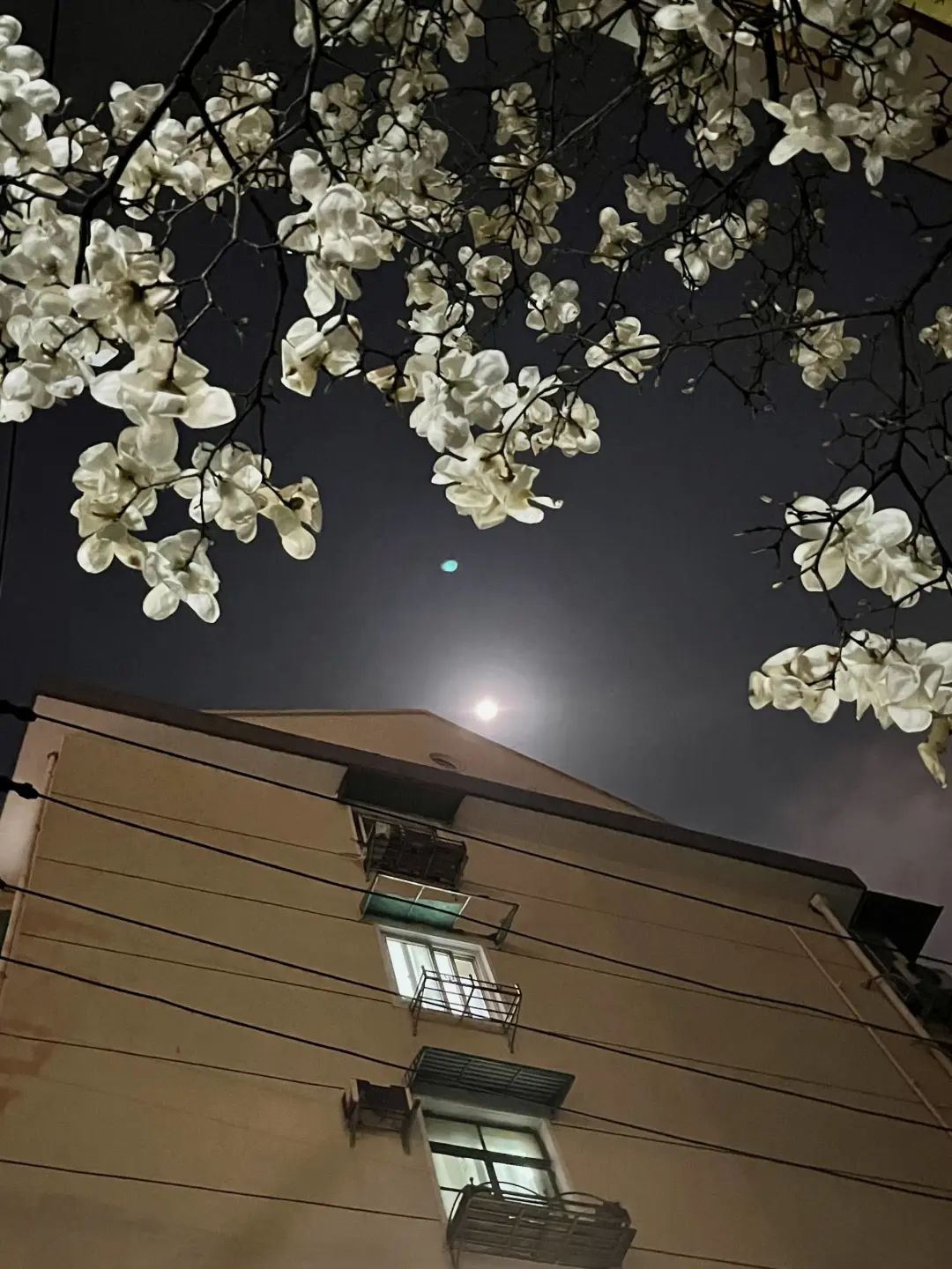 错过了一个秋天,错过了一个春秋