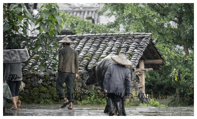 35岁要接受岁月的洗礼,35岁以后松弛