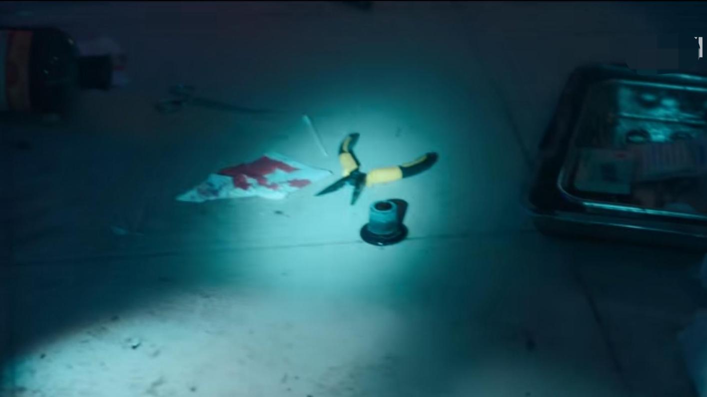 外婆的新世界虐猫后续沈东是谁,外婆的新世界沈东