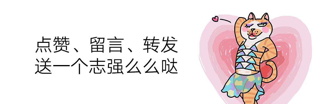 再见了，项圈，再也不见！