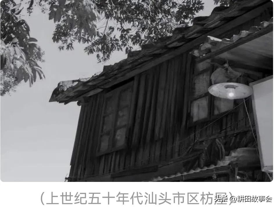 父亲的大秘密被发现,父亲的秘密真相