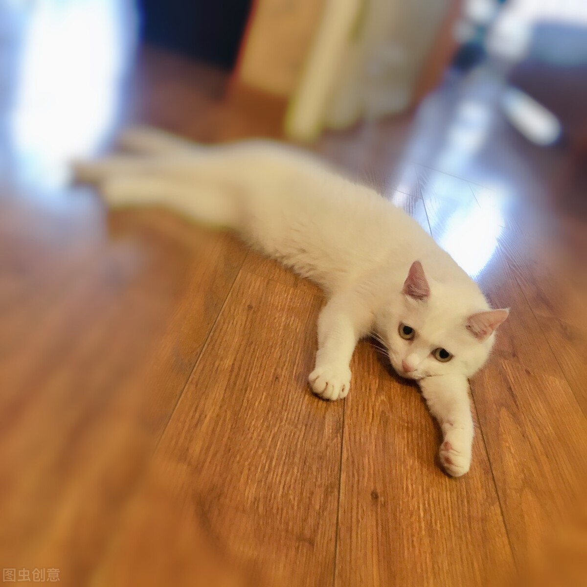 男士护肤品哪个牌子好,男士护肤品哪个牌子好知乎