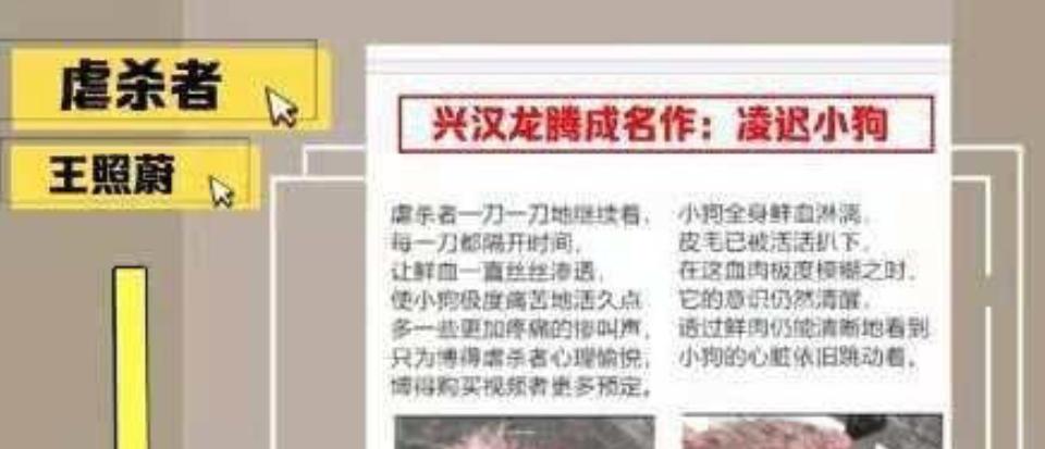 热搜上的网红，早该进监狱了