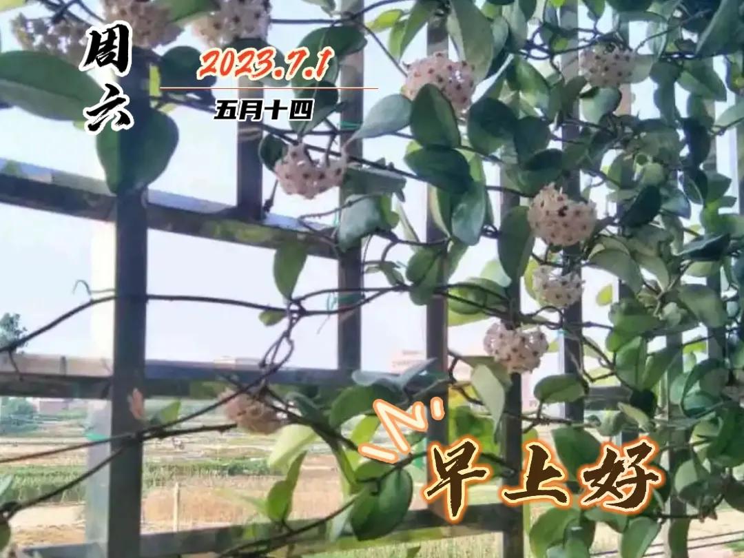 早安图片早上好问候祝福语,早上好图片带字早安问候语大全