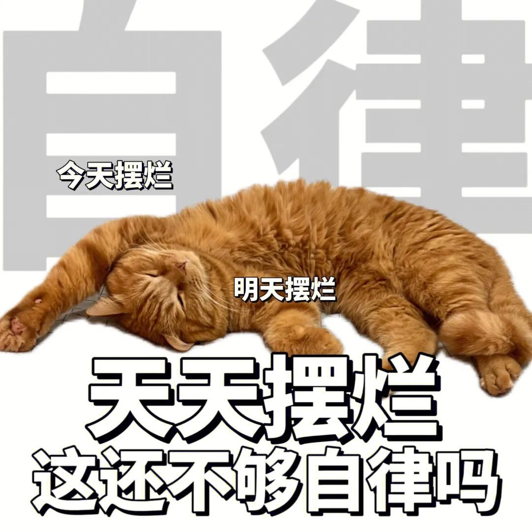 上班的我下班的我表情包,上班与下班的区别表情包