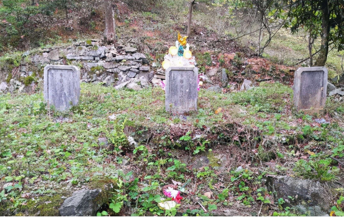 2023年全国整治坟头最新消息,国家有规定拆除老坟墓吗