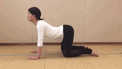 卷尾骨就是收紧腹部吗,卷尾骨夹臀吗