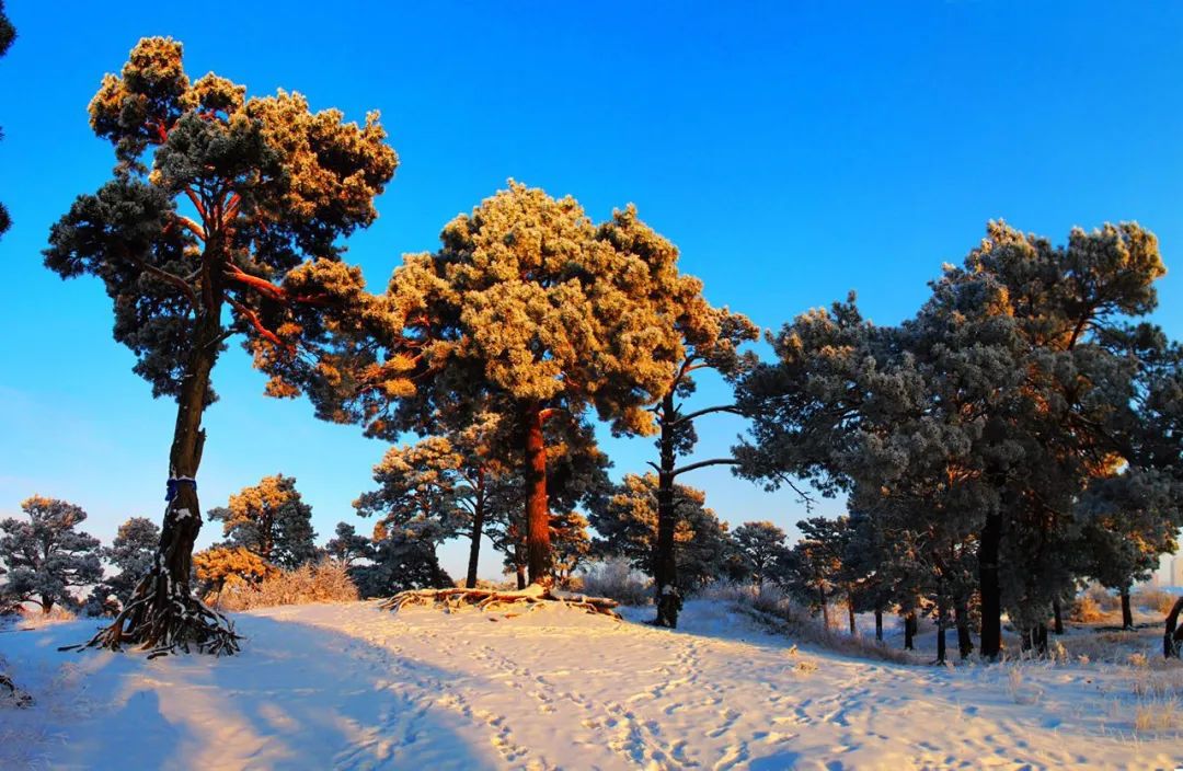 海拉尔四天三夜,海拉尔四季变化明显吗
