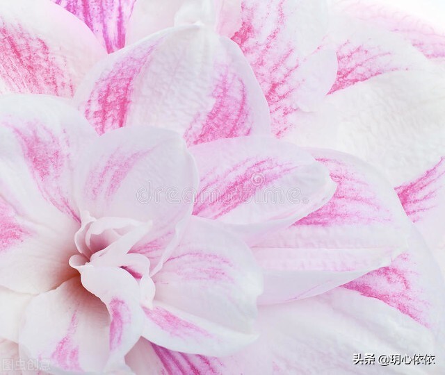 这些星座把自己活成财神爷，内心强大能力出众，心如真金光耀众生