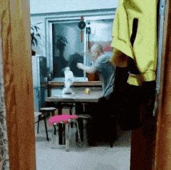 当你遇到了不正经的医生,当医生遇到不正经系统