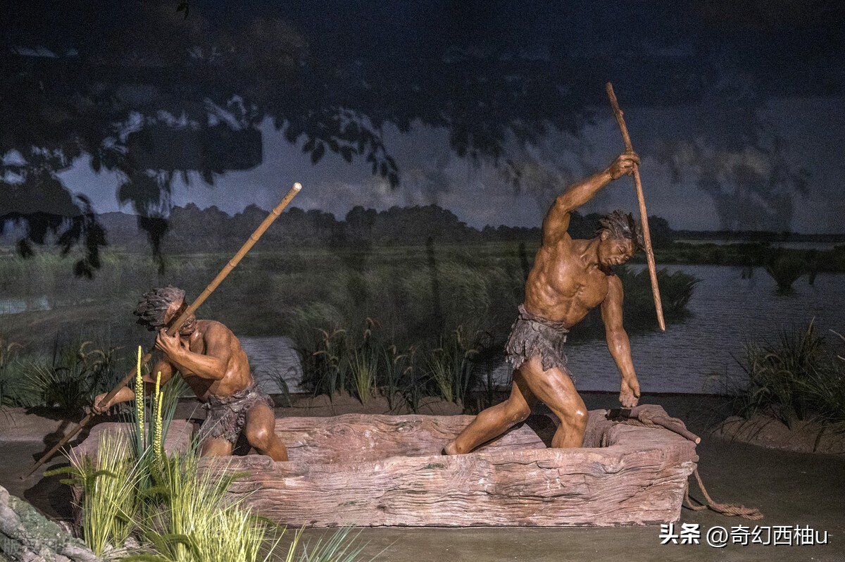 你想过没，为何人类在众多的哺乳动物中，毛发显得那么的少？