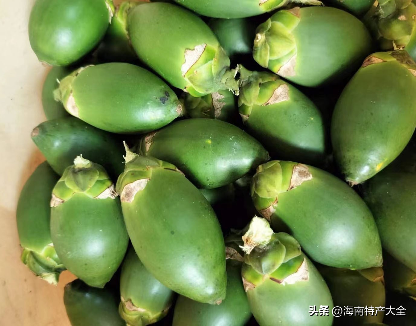 海南槟榔生果价格今报,2023年海南槟榔价格