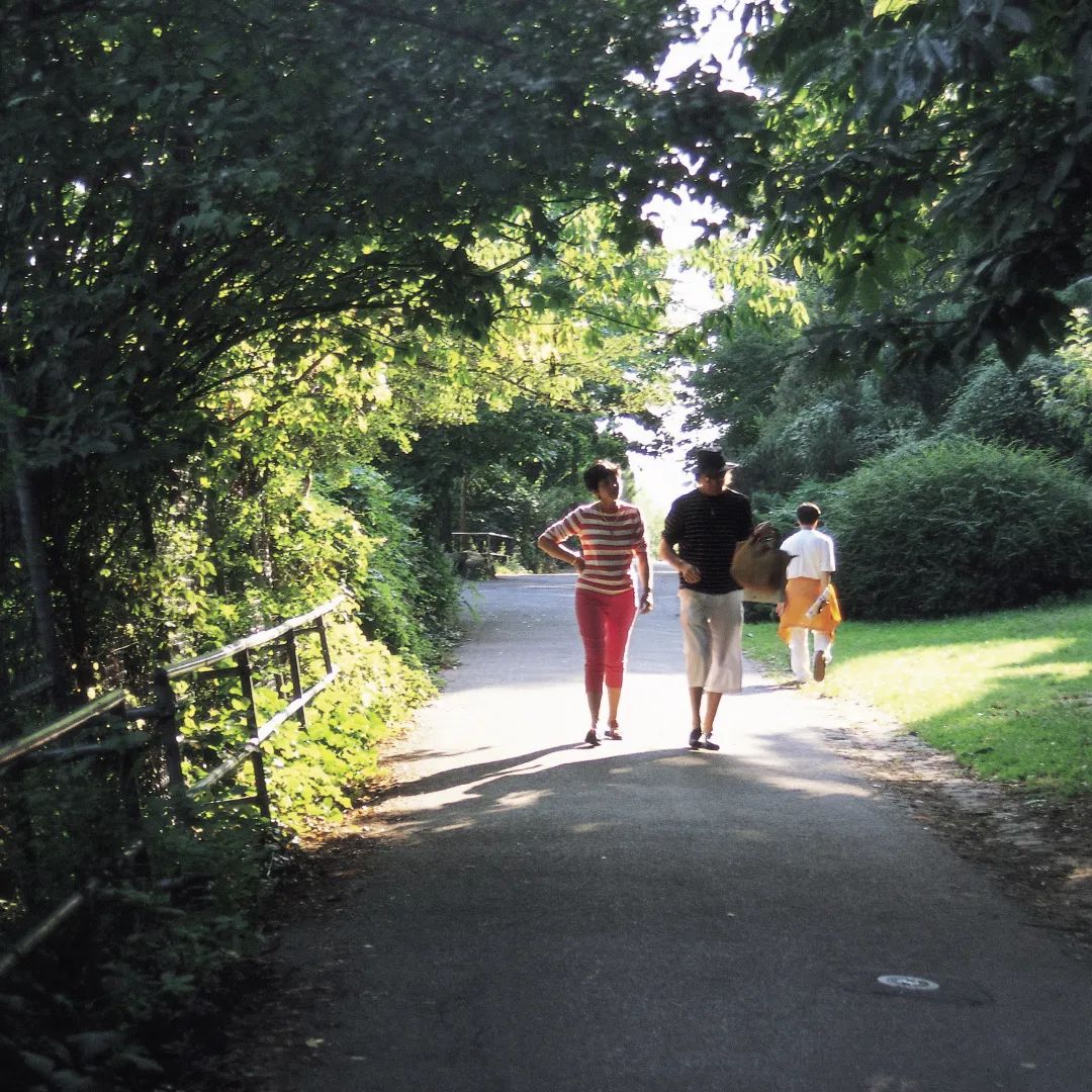 今日小暑：夏花繁盛，不负骄阳，人生滚烫，心自清凉