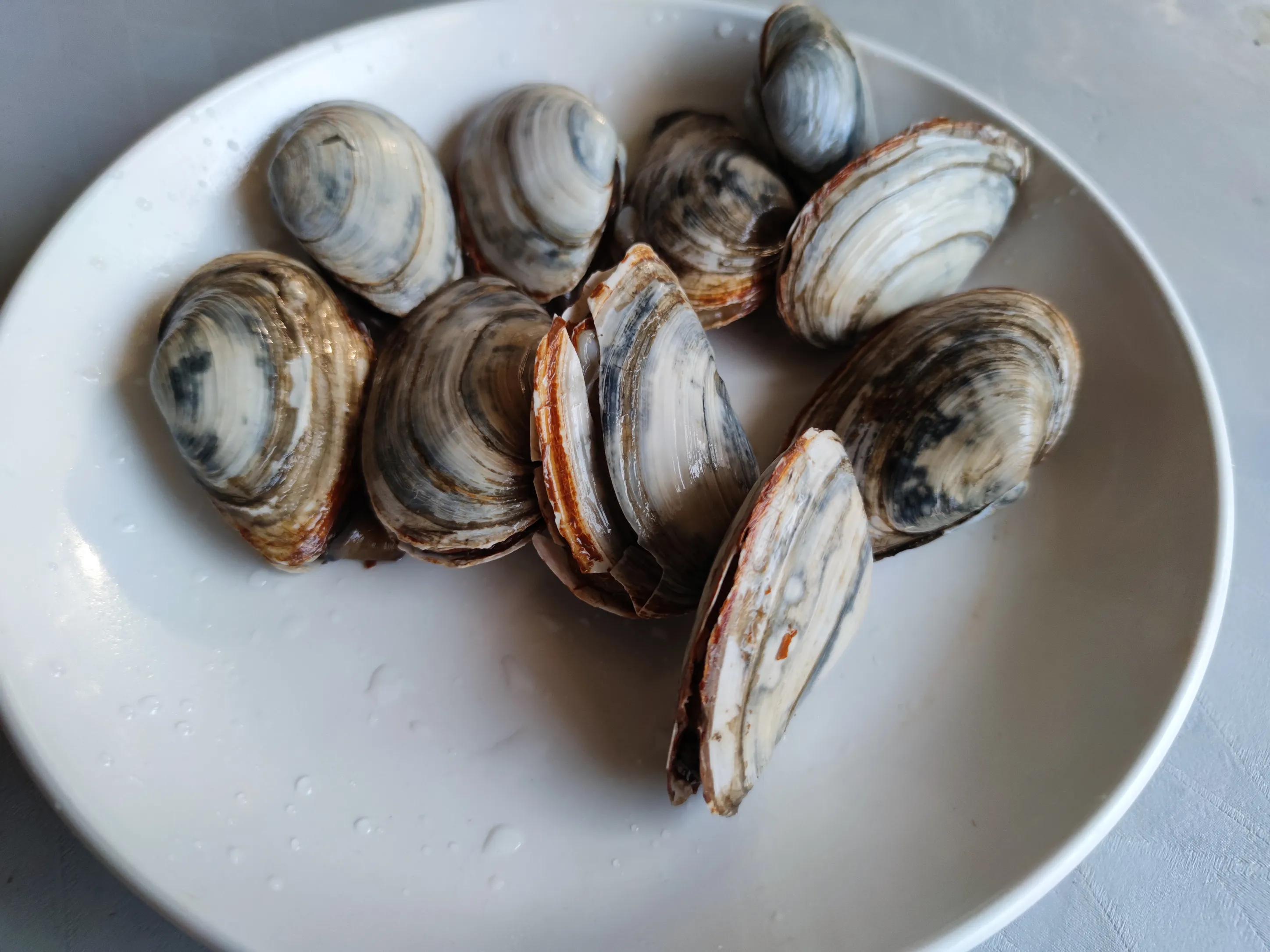 鲍鱼海参生蚝都是什么季节吃的,鲍鱼生蚝小海鲜