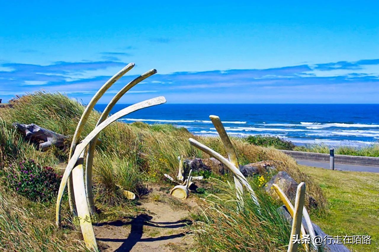 被老外忽悠的因纽特人,因纽特人被忽悠拍摄
