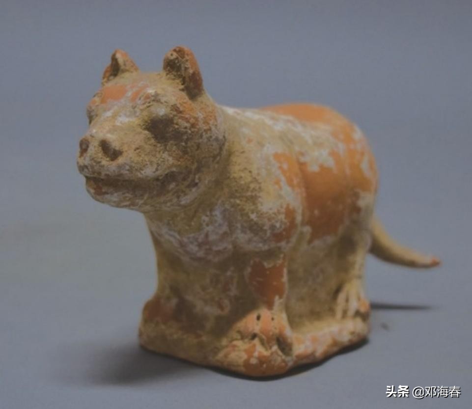 虎年是哪一年开始的,虎年的来历和习俗