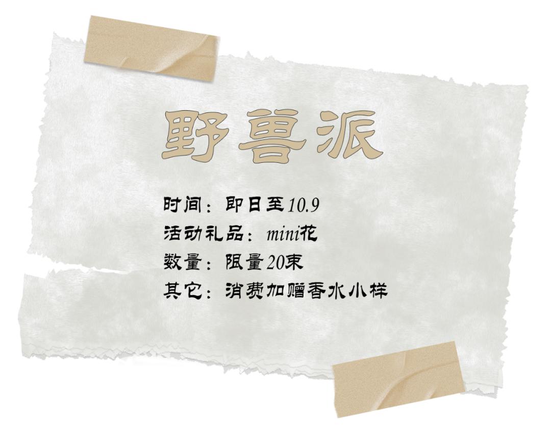 魔法世界大狂欢,魔法世界大狂欢入口