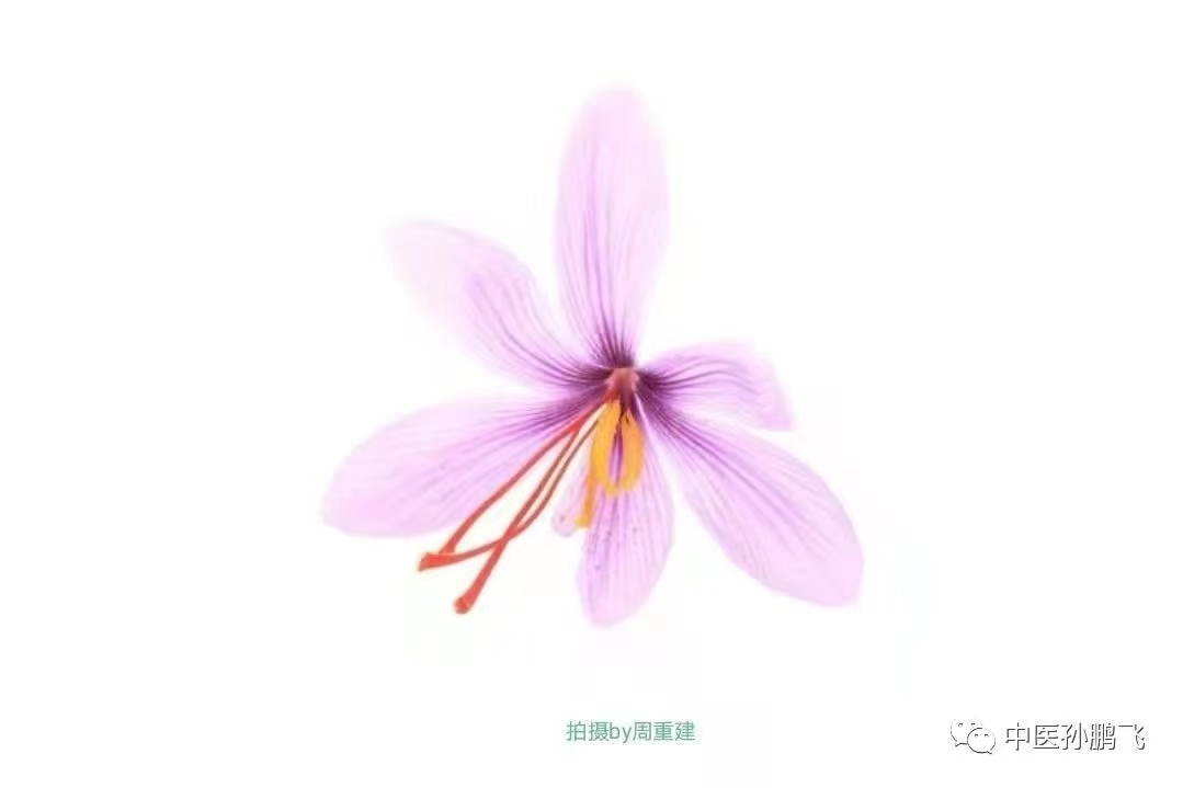 金匮要略学习笔记——15.19～15.21