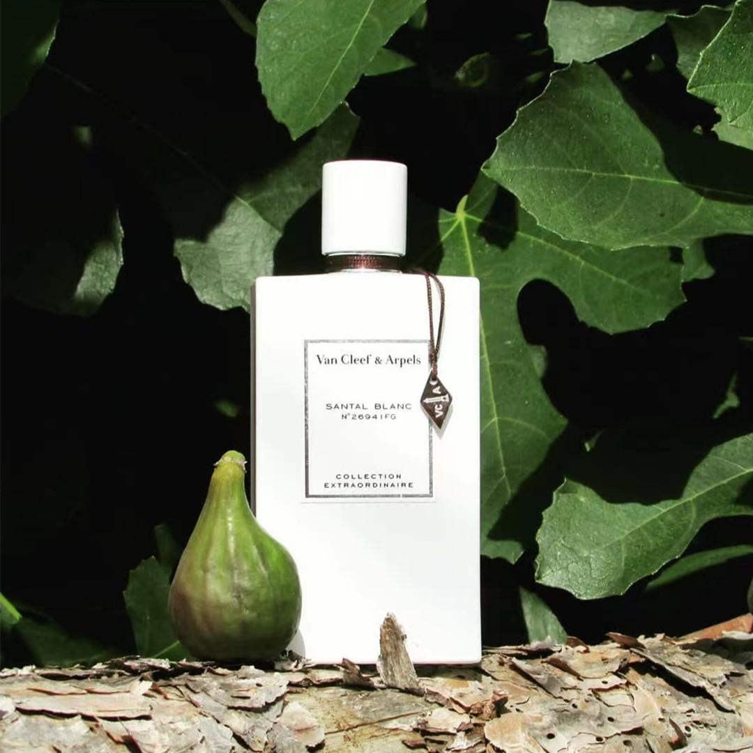 梵克雅宝白檀香水好闻吗,梵克雅宝香水月光白檀好闻吗