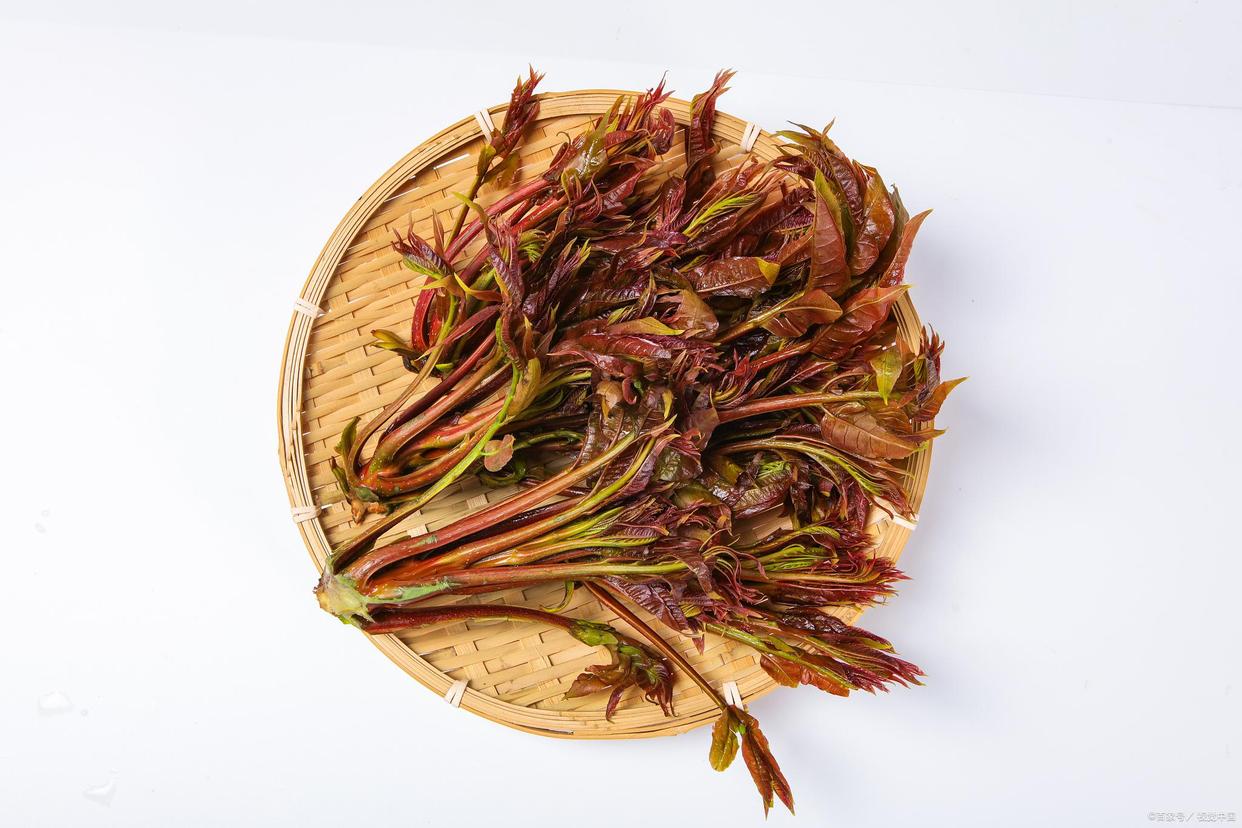 食物中毒为什么舌尖有白泡,舌尖上的安全中毒视频