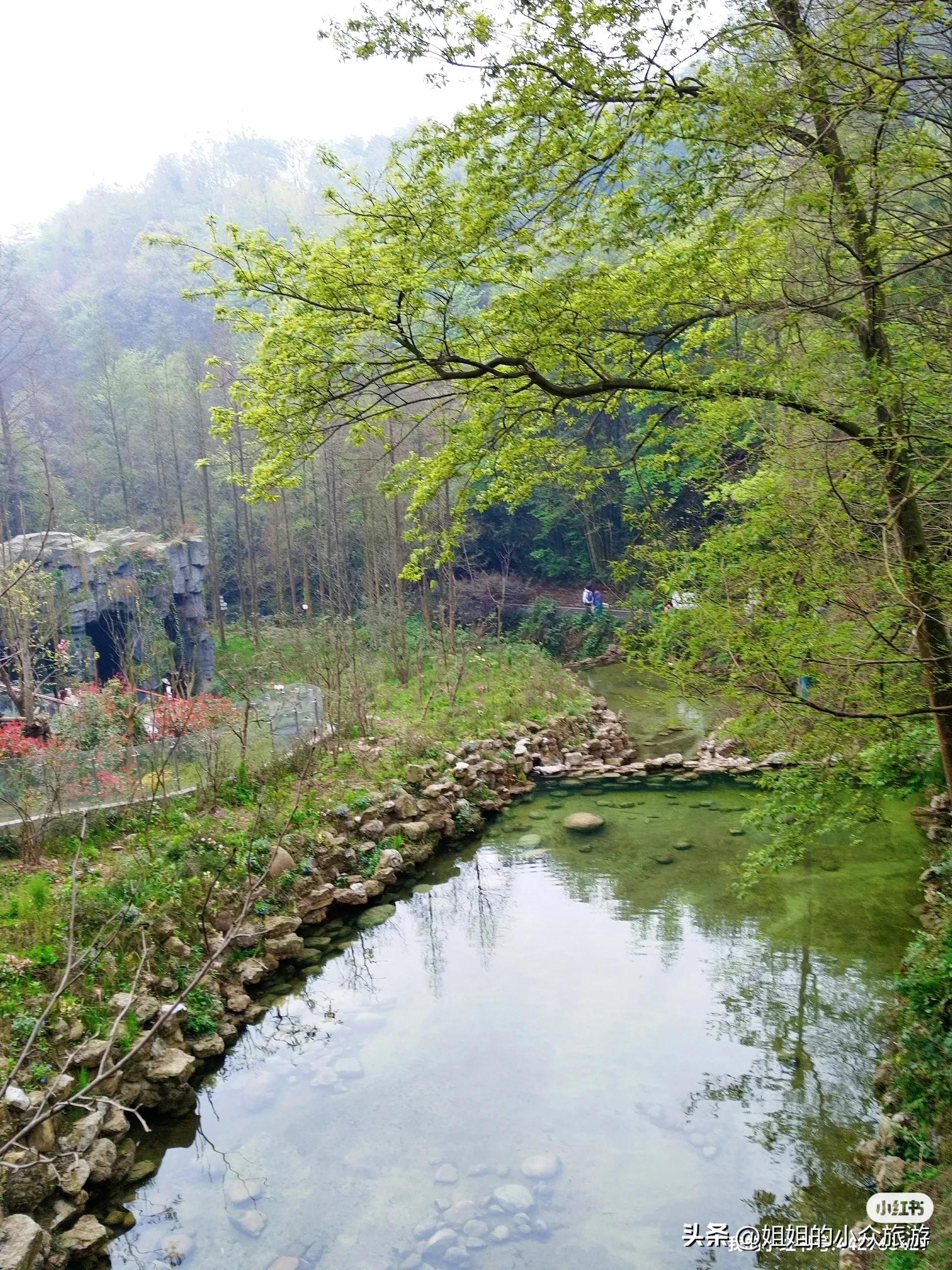 成都都江堰五天四夜,成都都江堰一日游小团
