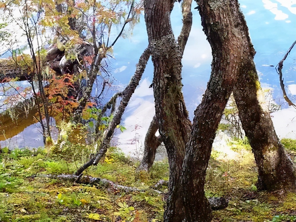 鬼斧神工大自然十大奇观,地球上的七大自然奇观