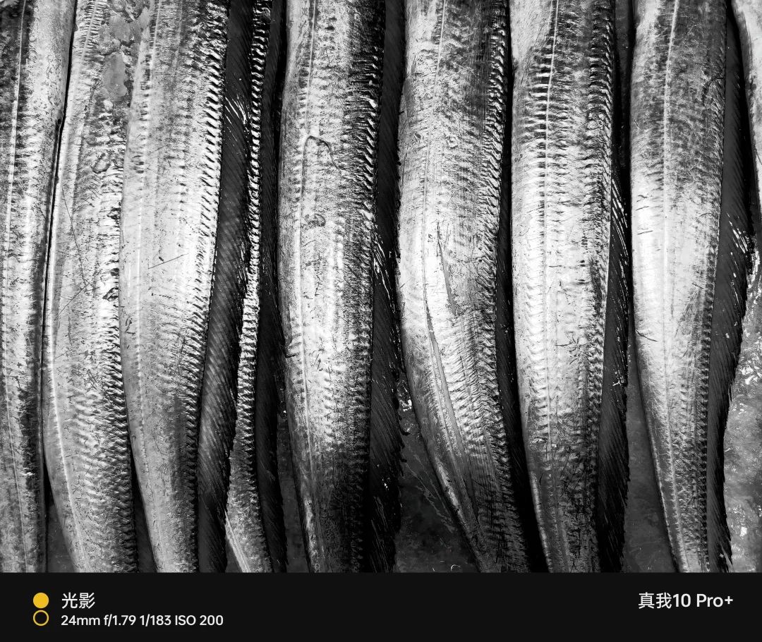 真我10pro超清三摄都有哪些,真我10pro手机一亿像素